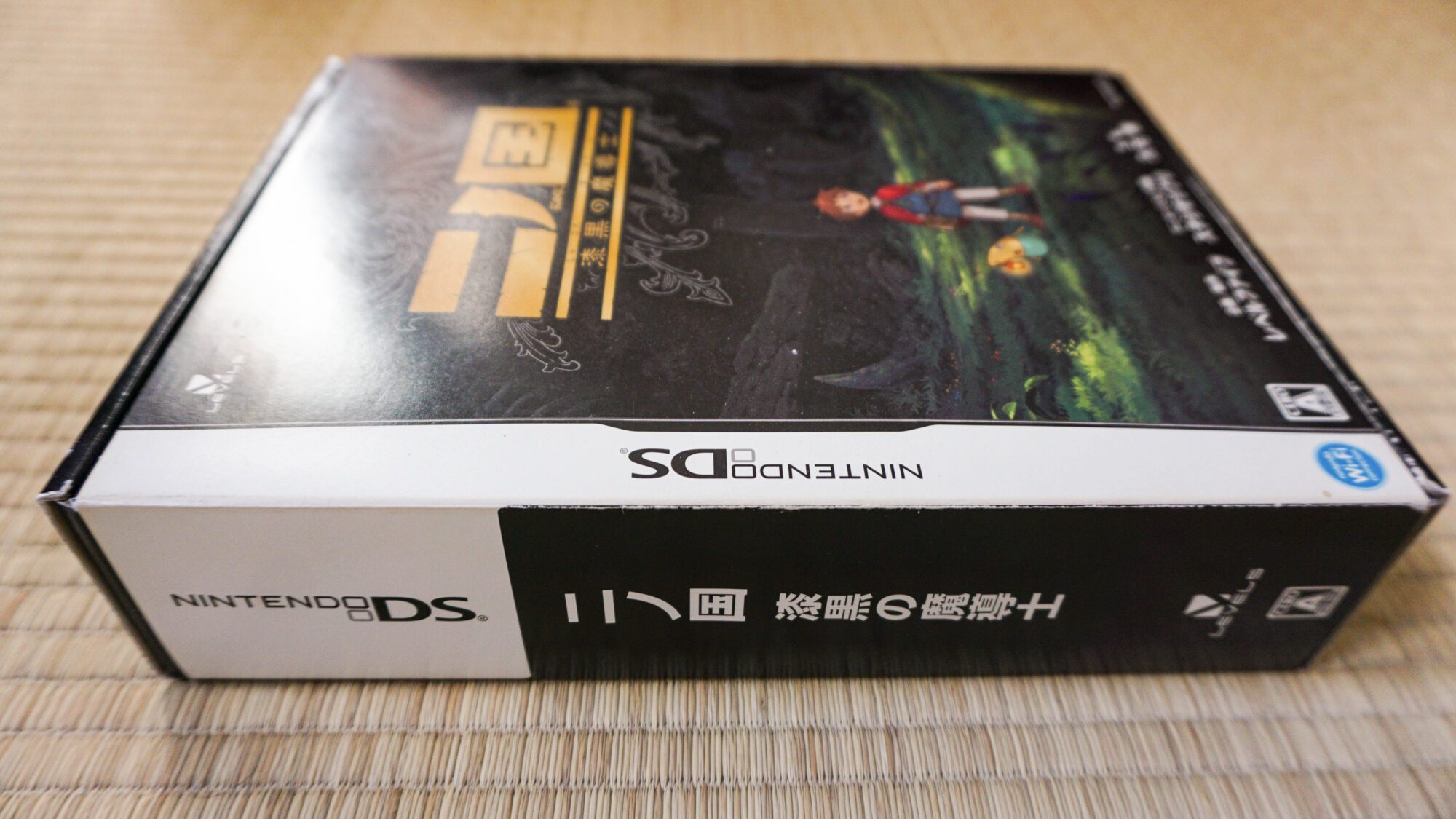 Photo du jeu Ni No Kuni sur Nintendo DS édition Collector version japonaise, vue de côté