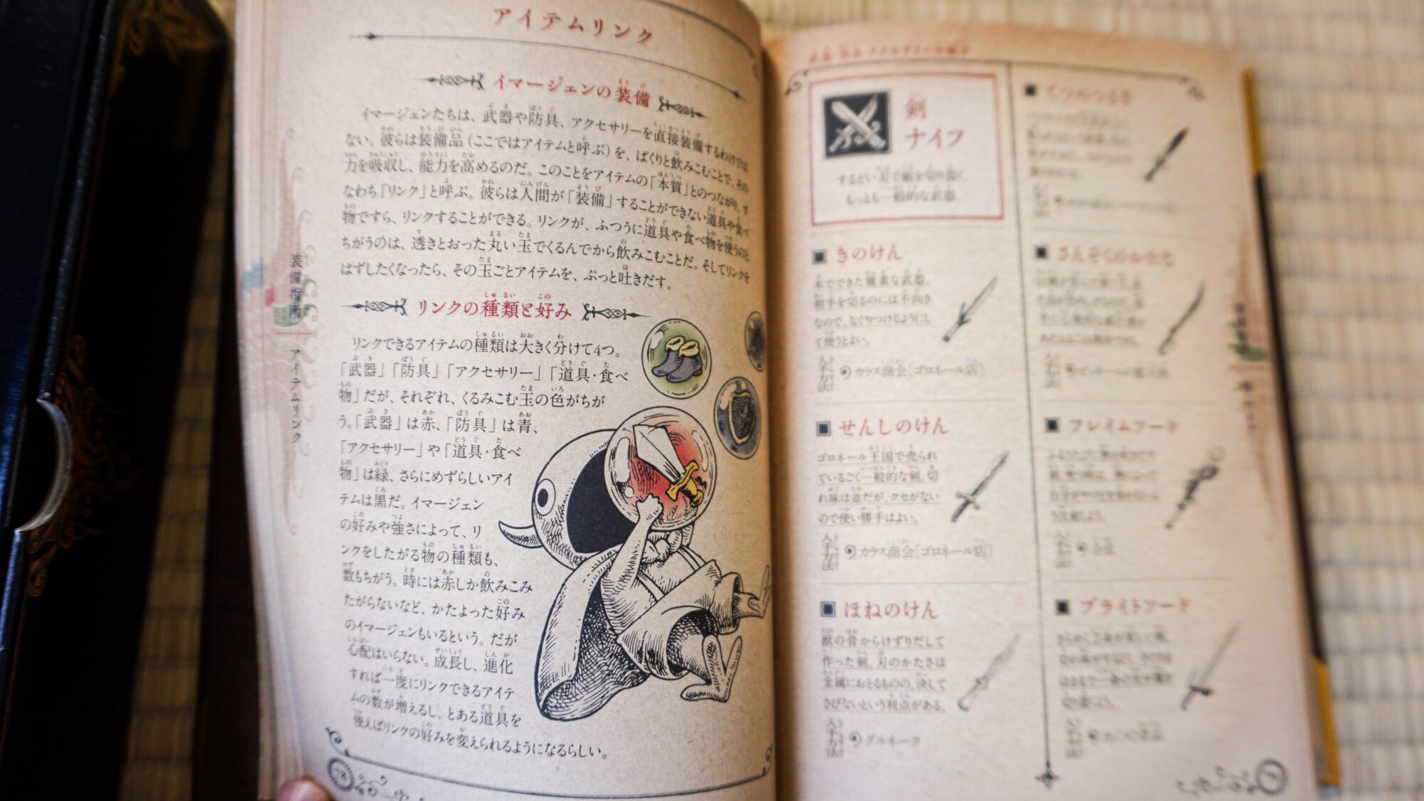 Photo du jeu Ni No Kuni sur Nintendo DS édition Collector version japonaise, photo du livret