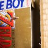 Photo du jeu The Legend of Zelda Link's Awakening sur Game Boy