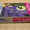 Photo du jeu Castle of Illusion Starring Mickey Mouse sur Game Gear, vue de côté