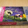 Photo du jeu Castle of Illusion Starring Mickey Mouse sur Game Gear, vue de côté