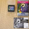 Photo du jeu Castle of Illusion Starring Mickey Mouse sur Game Gear